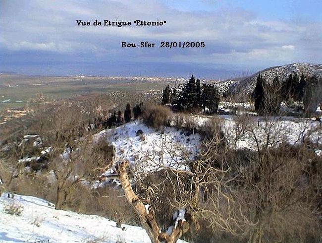Bou Sfer Etrigue Ettonio 650X490.jpg